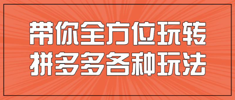 带你全方位玩转拼多多各种玩法-渡漳网