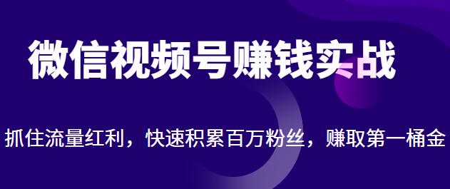 《微信视频号赚钱实战》视频号运营引流实战技巧-渡漳网