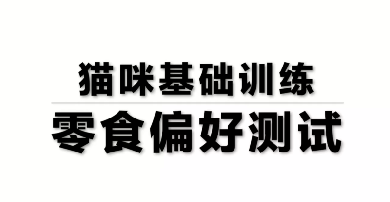 养猫攻略大全及爱猫养护实用手册-渡漳网