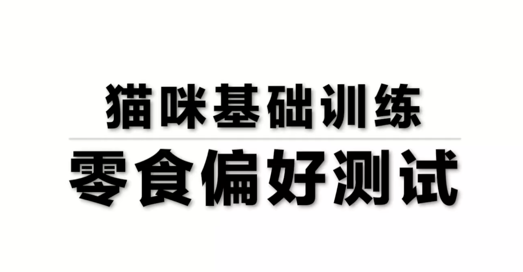 养猫攻略大全及爱猫养护实用手册