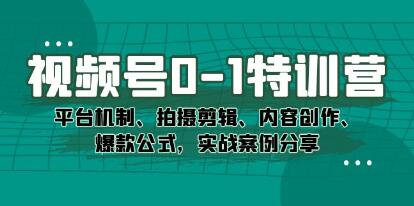 《视频号0-1特训营》平台机制、拍摄剪辑、内容创作、爆款公式,实战案例分享-渡漳网