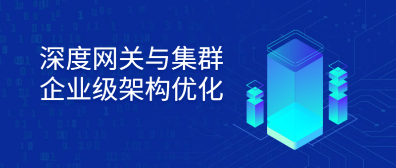 深度网关与集群企业级架构优化-渡漳网
