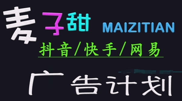 抖音，快手，网易广告计划项目形态及收益-渡漳网