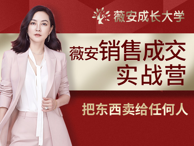 薇安28天销售高手训练营-渡漳网