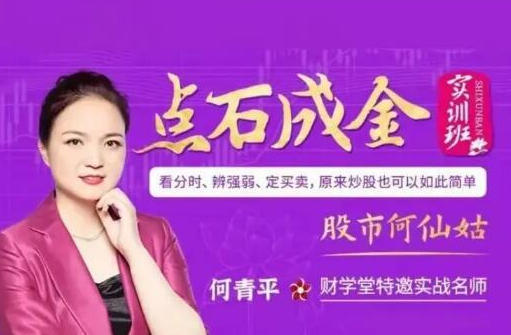 股市何仙姑何青平点石成金系统课-渡漳网