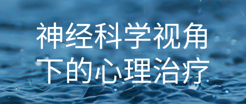 神经科学视角下的心理治疗-渡漳网
