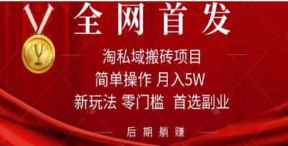 《淘私域搬砖项目》利用信息差可月入5W，每天无脑操作1小时-渡漳网