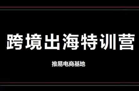 推易电商TikTok跨境电商实战营