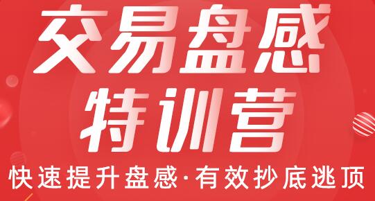 交易盘感特训营(259期)快速提升盘感,有效抄底逃顶-渡漳网