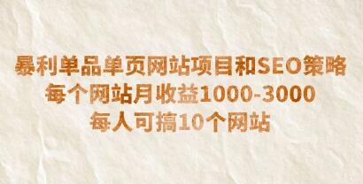 《暴利单品单页网站项目和SEO策略》每个网站月收益1000-3000-渡漳网