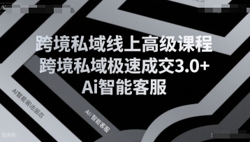 跨境私域线上高级课程，跨境私域极速成交3.0+Ai智能客服-渡漳网