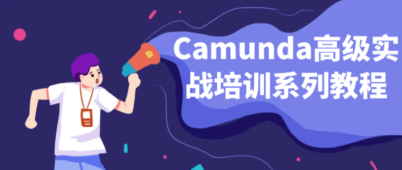 Camunda高级实战培训系列教程-渡漳网