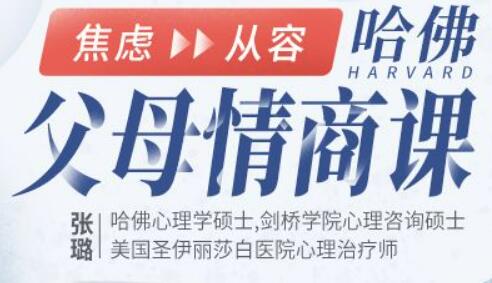 张璐《哈佛 父母情商课》从焦虑到从容,不吼不叫养出好孩子-渡漳网