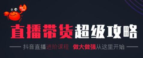 抖音直播带货超级攻略:抖音直播带货的详细玩法,小店运营、付费投放等-渡漳网