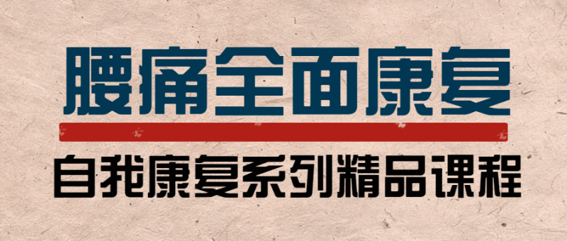 腰痛运动康复:教练与患者必学-渡漳网