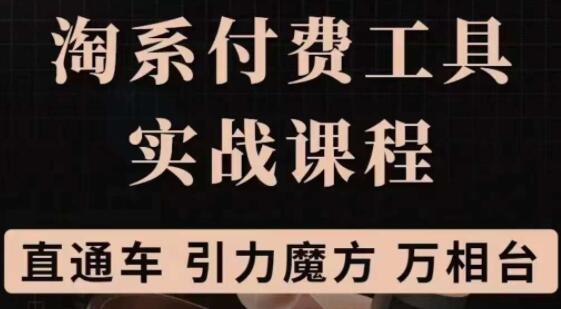 《淘系付费工具实战课程》直通车、引力魔方战略优化教程视频-渡漳网