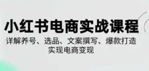 小红书从0-1实操课,详解养号、选品、文案撰写、爆款打造实现电商变现-渡漳网
