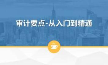 《学通审计实务要点》从入门到精通-渡漳网