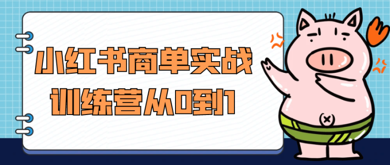 小红书商单实战训练营从0到1-渡漳网