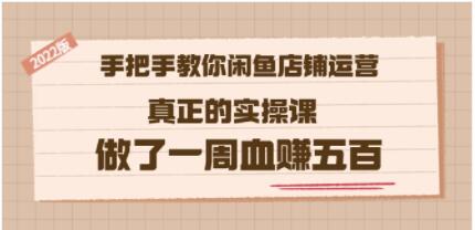 《手把手教你闲鱼店铺运营》真正的实操课,做了一周血赚五百-渡漳网