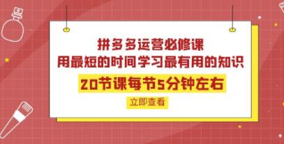 《拼多多运营必修课》用最短的时间学习最有用的知识-渡漳网