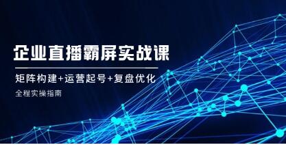《企业直播霸屏实战课》矩阵构建+运营起号+复盘优化-渡漳网