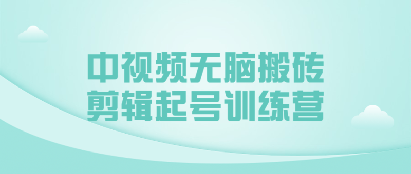 中视频无脑搬砖剪辑起号训练营-渡漳网