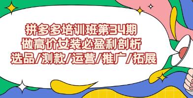 拼多多培训班第34期《做高价女装必盈利》剖析/选品/测款/运营/推广/拓展-渡漳网