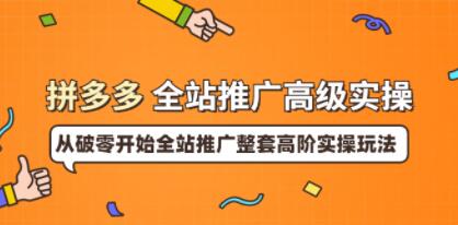 《拼多多全站推广高级实操》从破零开始全站推广整套高阶实操玩法-渡漳网
