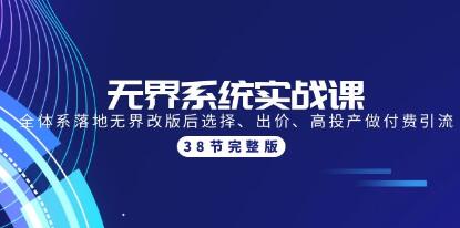 老衲《无界系统实操课》选择、出价、高投产做付费引流-渡漳网