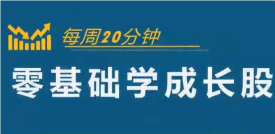 怎样选择成长股《零基础学成长股》股票讲座视频-渡漳网