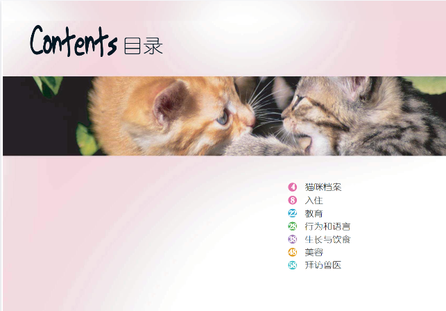 幼猫养护指南-渡漳网