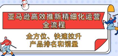 《亚马逊高效推新精细化运营全流程》全方位、快速拉升产品排名和销量-渡漳网