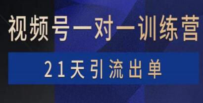 21天引流出单《视频号训练营》带货,涨粉,直播,游戏,四大变现新方向-渡漳网