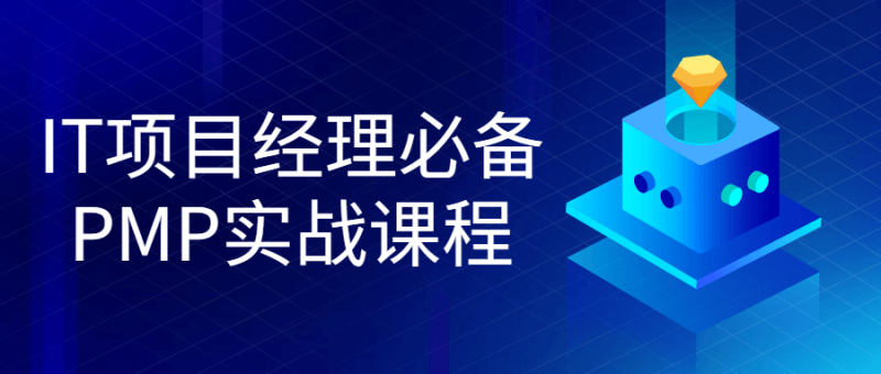 IT项目经理必备PMP实战课程-渡漳网