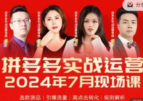 《拼多多实战运营》实时玩法，爆款打造，选品、规则解析-渡漳网