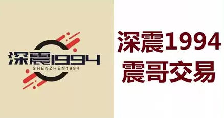 主力坐庄四部曲 深震1994震哥交易技巧视频-渡漳网