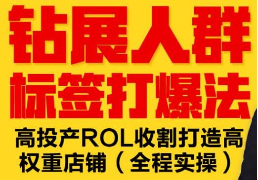 逐鹿《淘宝钻展人群标签打爆法》高投产ROL收割打造高权重店铺(全程实操)-渡漳网