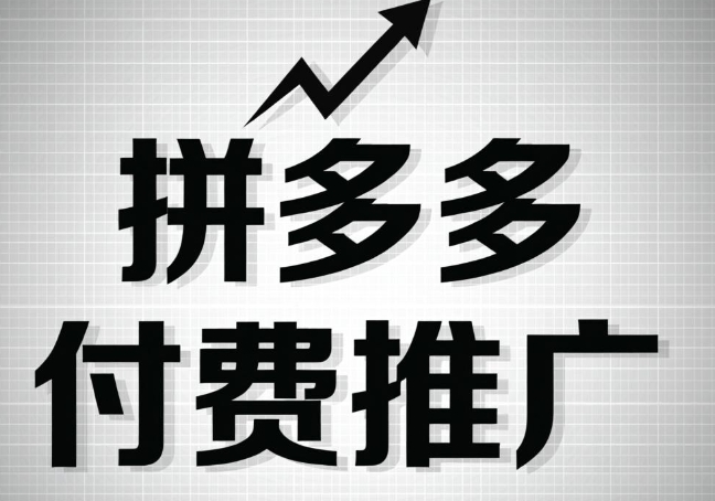 拼多多付费推广进阶玩法，与防坑指南-渡漳网