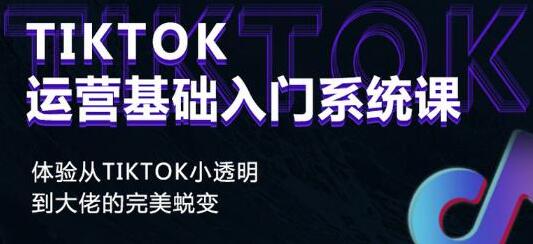 《Tiktok运营基础入门系统课》从tiktok小白到大佬的完美蜕变-渡漳网