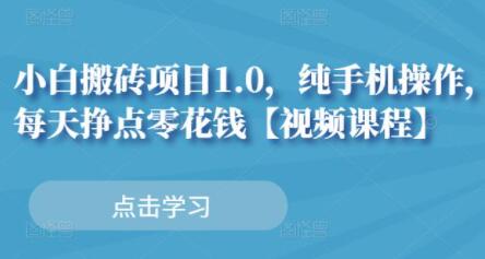《小白搬砖项目1.0》纯手机操作,每天兼职挣点零花钱-渡漳网