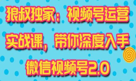 微信视频号运营实战2.0,独家最新玩法,快速吸粉吸金-渡漳网