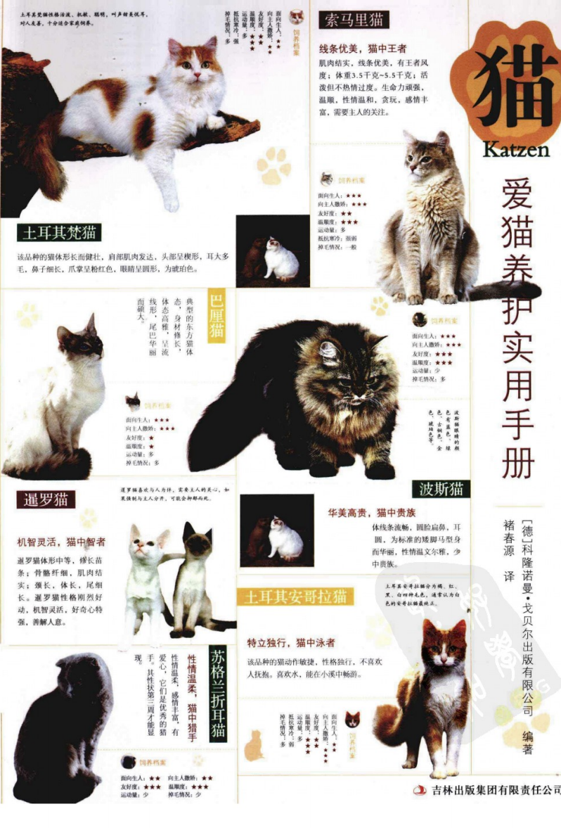 猫：爱猫养护实用手册