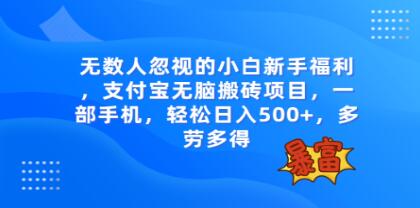 无数人忽视的《支付宝无脑搬砖项目》一部手机即可操作-渡漳网