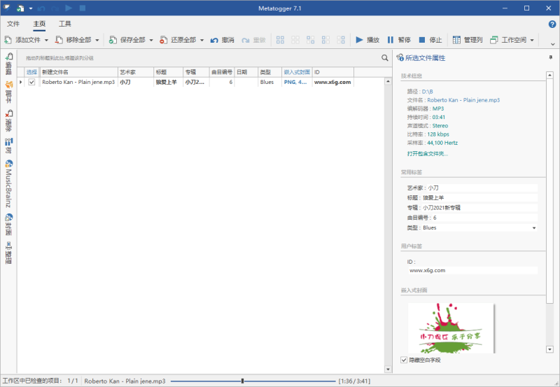 Metatogger音频编辑v7.7.1.0绿色版-渡漳网