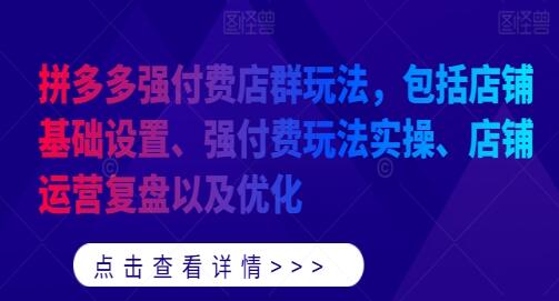 《拼多多强付费店群玩法》店铺运营复盘以及优化-渡漳网
