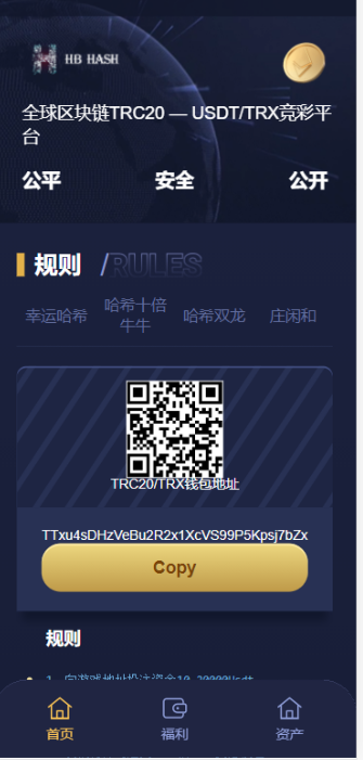 哈希竞猜源码-支持四种玩法-渡漳网