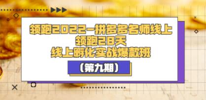 《拼多多名师线上领跑28天》线上孵化实战爆款班（第九期）-渡漳网