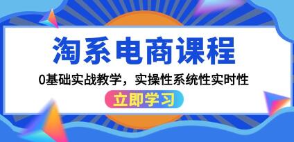 淘系电商课程《0基础实战教学》实操性系统性实时性-渡漳网
