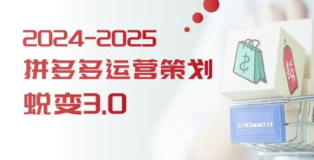 大力《拼多多运营策略蜕变3.0》0-1完美蜕变-渡漳网